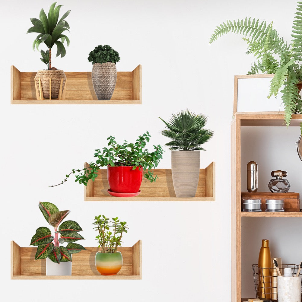 Green Haven Wall Design Set