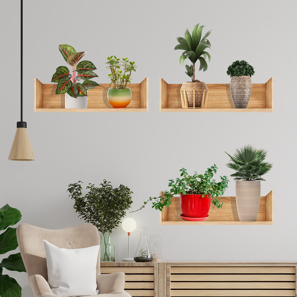 Green Haven Wall Design Set
