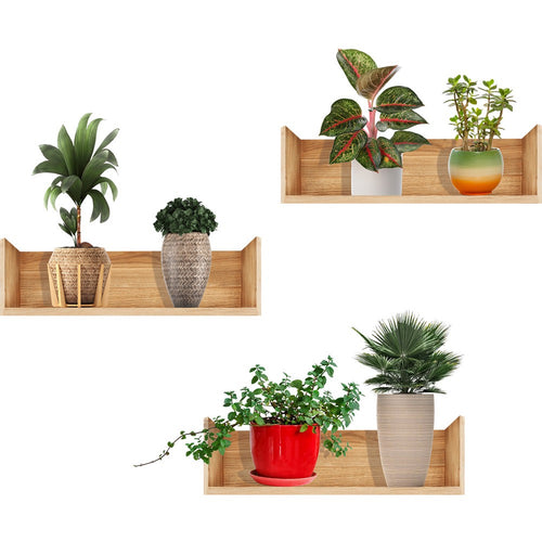 Green Haven Wall Design Set